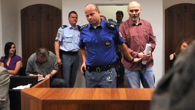 Jaroslav Novák dostal za zabití dvou chlapců 6 let vězení