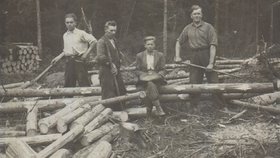 Osmnáctiletý Vašek s kolegy při práci v lesích.