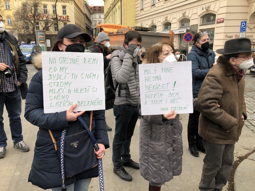 Aktivisté dnes (18. 3.) znovu demonstrovali proti pokácení 100letého javoru.