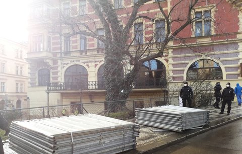 Nekonečný boj o javor v centru města. Praha Sobě chce svolat další mimořádné zasedání rady