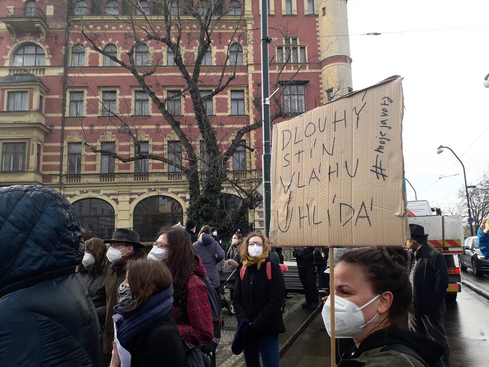 Na nábřeží nedaleko Karlových lázní se sešel protest proti kácení javoru. V místech, kde stojí, by měl vzniknout průchod směrem k řece. 