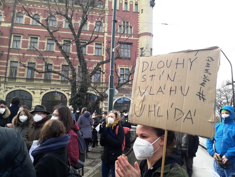 Na nábřeží nedaleko Karlových lázní se sešel protest proti kácení javoru. V místech, kde stojí, by měl vzniknout průchod směrem k řece. 