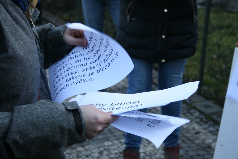 Na nábřeží nedaleko Karlových lázní se sešel protest proti kácení javoru. V místech, kde stojí, by měl vzniknout průchod směrem k řece.