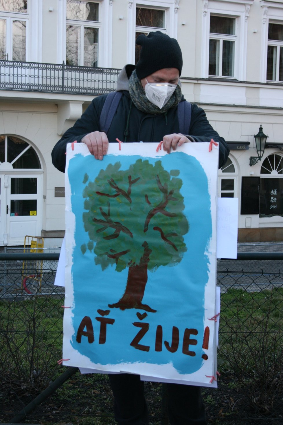 Na nábřeží nedaleko Karlových lázní se sešel protest proti kácení javoru. V místech, kde stojí, by měl vzniknout průchod směrem k řece.