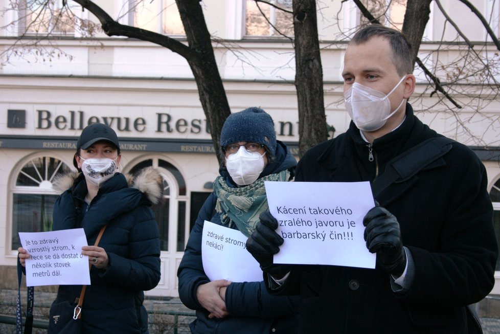 Na nábřeží nedaleko Karlových lázní se sešel protest proti kácení javoru. V místech, kde stojí, by měl vzniknout průchod směrem k řece. 