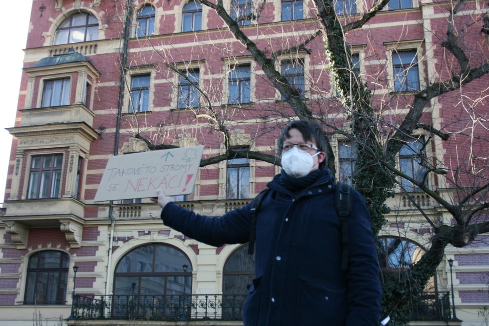 Na nábřeží nedaleko Karlových lázní se sešel protest proti kácení javoru. V místech, kde stojí, by měl vzniknout průchod směrem k řece. 