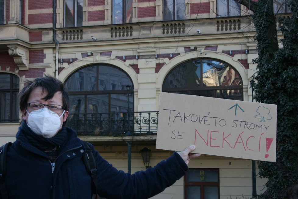 Na nábřeží nedaleko Karlových lázní se sešel protest proti kácení javoru. V místech, kde stojí, by měl vzniknout průchod směrem k řece.