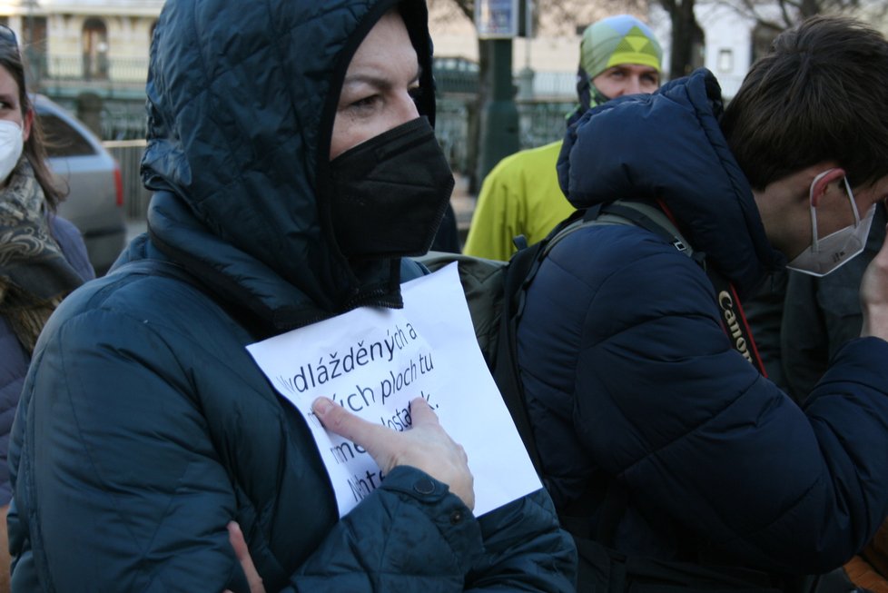 Na nábřeží nedaleko Karlových lázní se sešel protest proti kácení javoru. V místech, kde stojí, by měl vzniknout průchod směrem k řece.