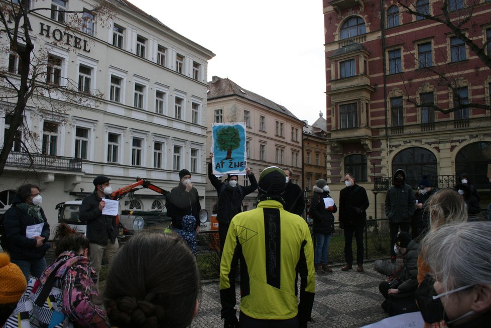 Na nábřeží nedaleko Karlových lázní se sešel protest proti kácení javoru. V místech, kde stojí, by měl vzniknout průchod směrem k řece. 