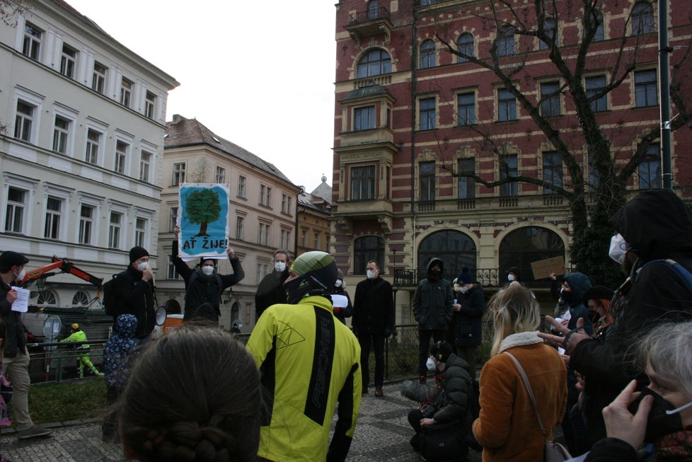 Na nábřeží nedaleko Karlových lázní se sešel protest proti kácení javoru. V místech, kde stojí, by měl vzniknout průchod směrem k řece.