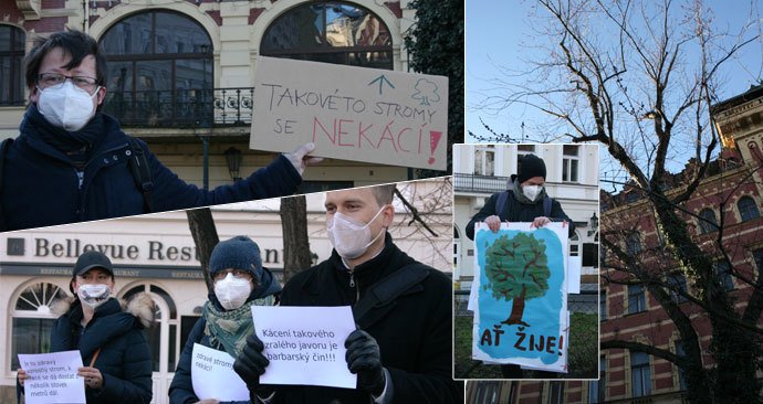 Na nábřeží nedaleko Karlových lázní se sešel protest proti kácení javoru. V místech, kde stojí, by měl vzniknout průchod směrem k řece. 