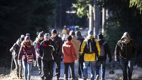 Několik tisíc turistů se zúčastnilo 18. ročníku silvestrovského výstupu na Javořici. Na vrchu s nadmořskou výškou 837 metrů si mohli příchozí opéct špekáčky, vypít svařené víno, punč nebo si s přáteli připít sektem.