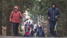 Několik tisíc turistů se zúčastnilo 18. ročníku silvestrovského výstupu na Javořici. Na vrchu s nadmořskou výškou 837 metrů si mohli příchozí opéct špekáčky, vypít svařené víno, punč nebo si s přáteli připít sektem.