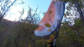 Paraglidista nouzově přistál v korunách stromů