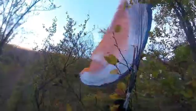 Paraglidista nouzově přistál v korunách stromů