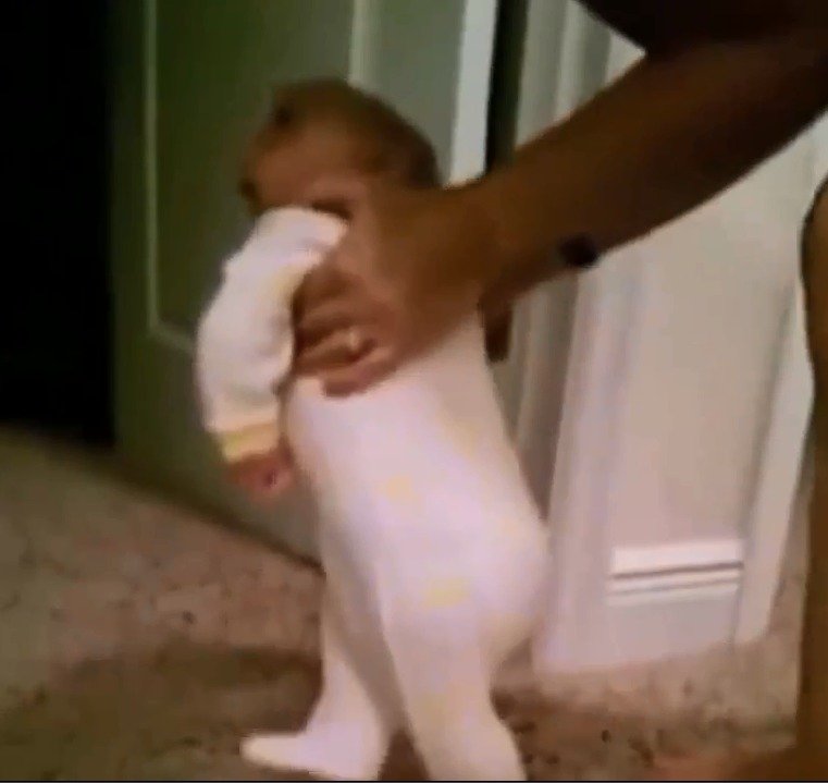 Video zachycuje malého Jaxona, jak s pomocí rodičů dokonce chodí.