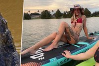 Aligátor Brittany utrhl ruce: Vykrvácela cestou do nemocnice! Kamarádka popsala chvíle hrůzy