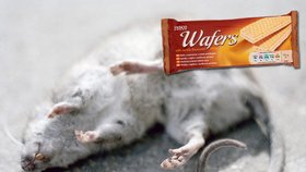 V sušenkách se může vyskytovat jed na potkany