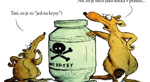 Jed na krysy