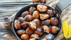 Jedlé kaštany jsou ořechy ze stromů, které patří do stejné čeledi jako buk.