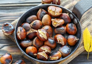 Jedlé kaštany jsou ořechy ze stromů, které patří do stejné čeledi jako buk.