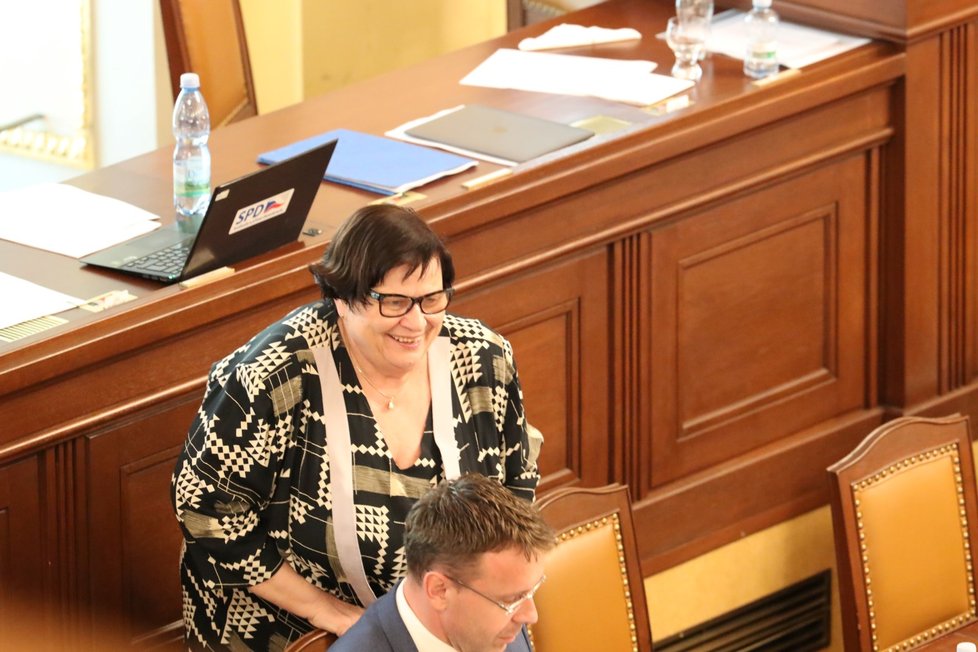 Ministryně spravedlnosti Marie Benešová