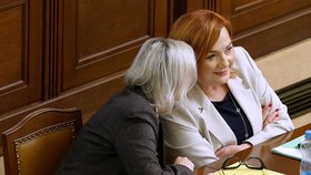 Jednání Sněmovny: Alena Schillerová (ANO) (24.9.2026)