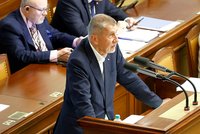 Neodstoupím, hřímal Babiš a blokoval Sněmovnu. Na znalce z kauzy Čapí hnízdo žene policii