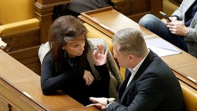 Renáta Vesecká, Filip Turek, jednání Sněmovny (24.9.2026)