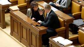 Renáta Vesecká, Filip Turek, jednání Sněmovny (24.9.2026)