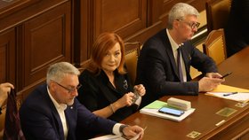 Jednání Sněmovny: Alena Schillerová (25.8.2026)