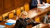 Česko bude dávat 2 procenta HDP na obranu! Poslanci schválili i změny branného zákona