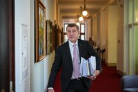 Vláda projedná nový cizinecký zákon. Babiš se poprvé sejde i s hejtmany