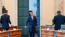 Andrej Babiš (ANO) při příchodu na jednání vlády