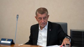 Schůze Babišovy vlády (25. 5. 2026): Andrej Babiš