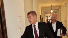 Ranní jednání vlády: Andrej Babiš (ANO) (31.8.2026)