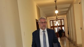 Ranní jednání vlády: Lumír Metnar (za ANO) (31.8.2026)