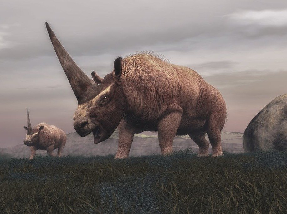 Vizualizace „sibiřského jednorožce“. Šlo to prehistorického nosorožce, kterého zahubil konec doby ledové