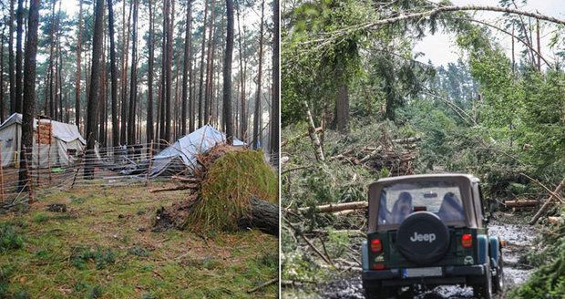 „Skautky zpanikařily.“ Stromy zabily dívku pod postelí i na útěku, tvrdí svědek