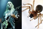 Kytarista (†49) Slayer trpěl šílenými bolestmi poté, co ho kousnul pavouk. Nakonec zemřel na selhání jater.