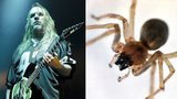 Kytarista (†49) metalové legendy Slayer zemřel: Kousl ho smrtící pavouk!