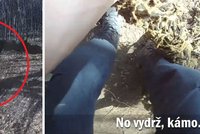 Záchrana v pravou chvíli: Policisté osvobodili uvězněného jelena