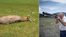 Majestátního pána lesů skolil na Šumpersku pytlák: Unikátní jelen podlehl střelnému poranění