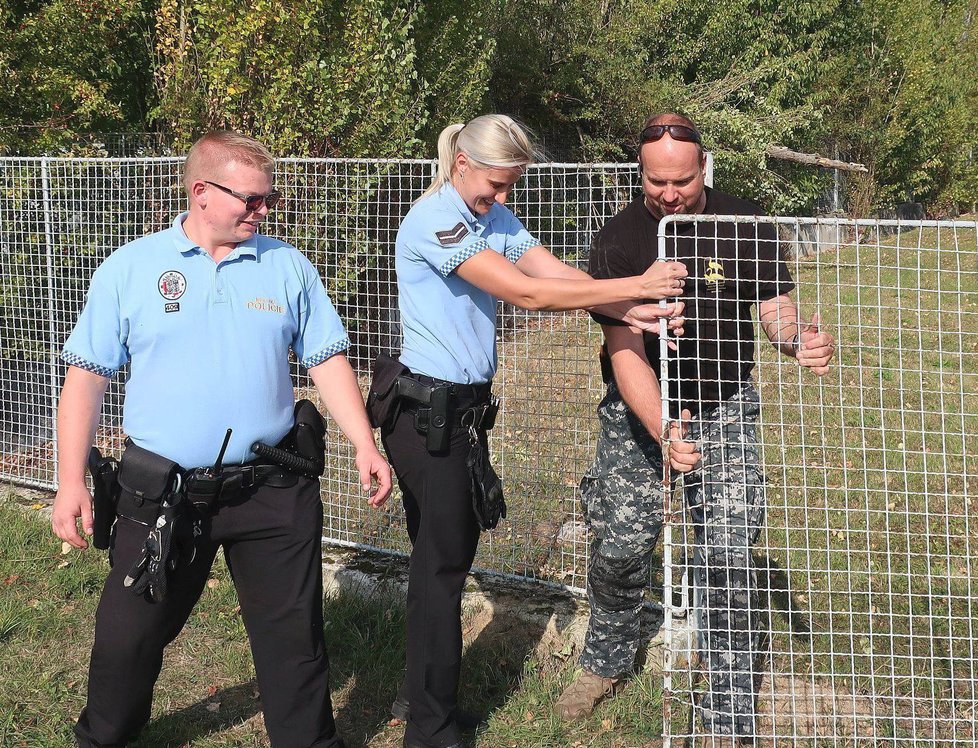 Jelen zaběhl do areálu vodárny, museli kvůli němu rozebrat kus plotu.