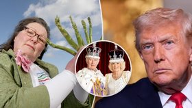 Chřestová věštkyně odhalila, co nás čeká v roce 2026: Zatčení v královské rodině a volby v USA!