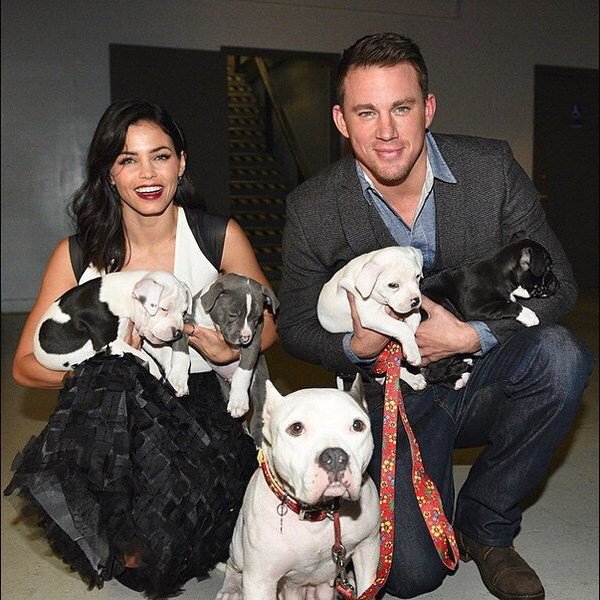 Jenna Dewan a Channing Tatum