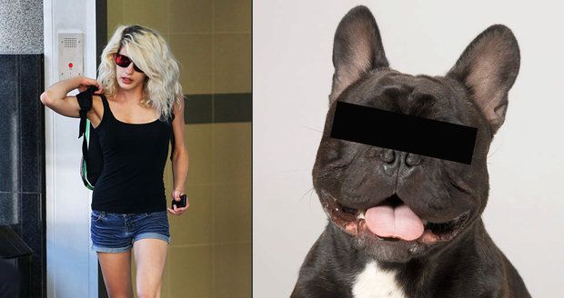 Zooblondýna se přiznala k sexu se psem, přítel ji při něm natáčel