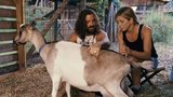 Jennifer Aniston se s přítelem seznámila přes kozy!