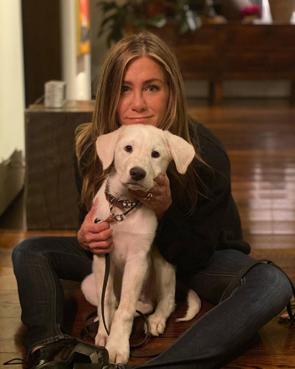 Jennifer Aniston a Lord Chesterfield