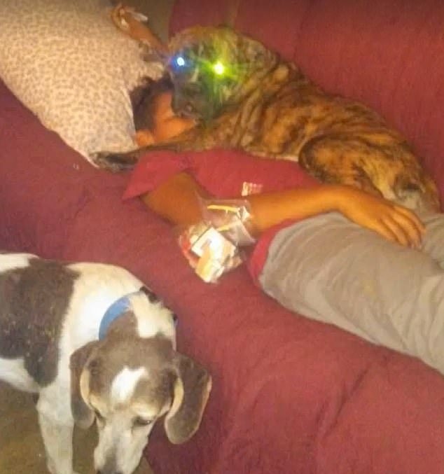 Starší dítě Connellové s oběma psy